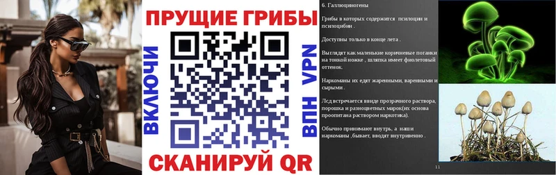 где купить Стерлитамак Галлюциногенные грибы мицелий